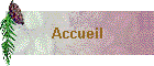 Accueil