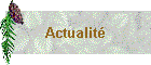 Actualité