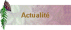 Actualit�